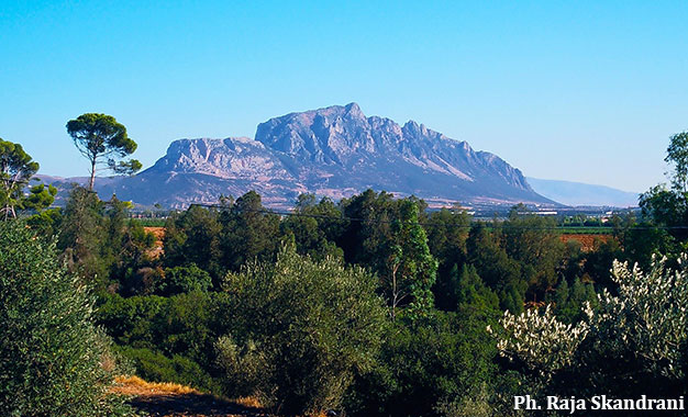 Image from Jebel Ressas Eco Experience